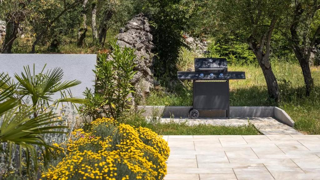 Ogród w obiekcie Luxury Villa Subventus