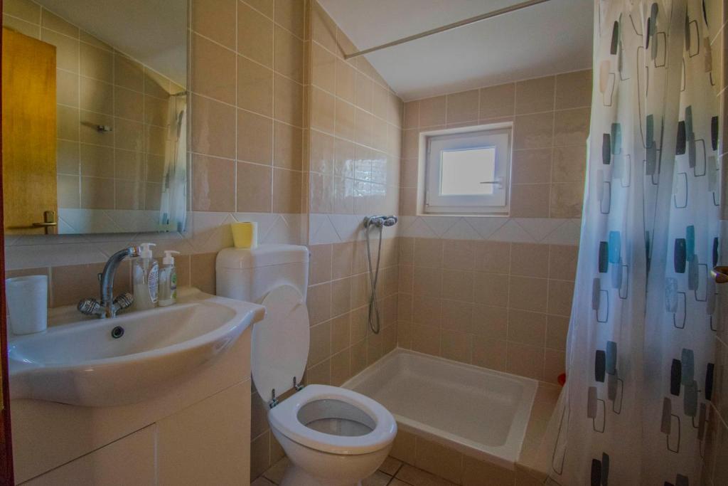 e bagno con lavandino, servizi igienici e doccia. di Apartments Stef in Kosljun island Pag a Košljun