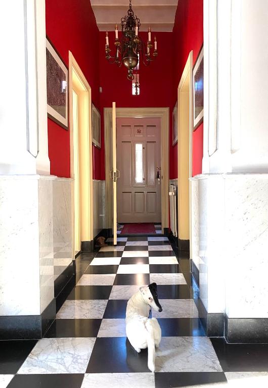 Fotografie z fotogalerie ubytování Oude Postkantoor de Rijp v destinaci De Rijp