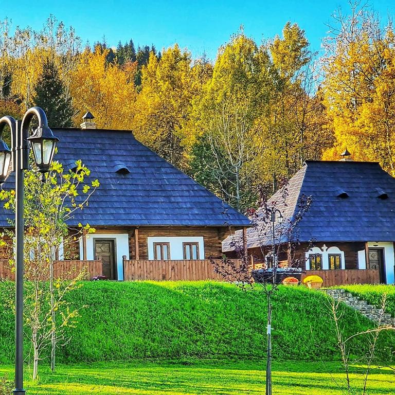 a house in the middle of a yard with trees at Vatra Boiereasca in Cacica
