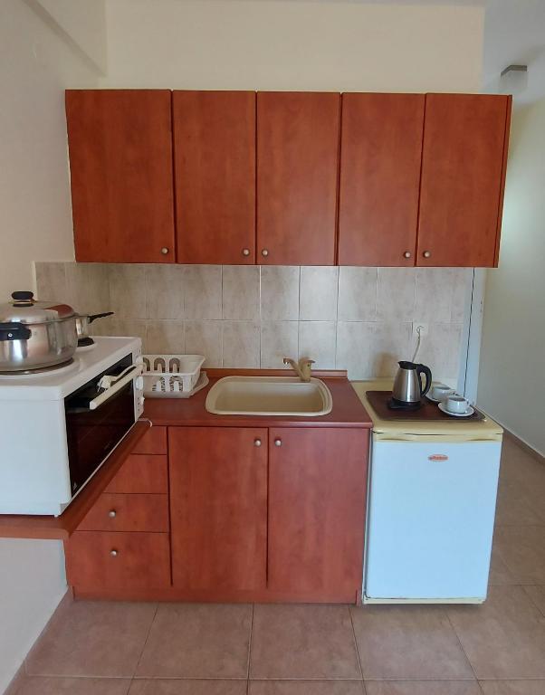 Kuchyň nebo kuchyňský kout v ubytování Hotel Kassandros