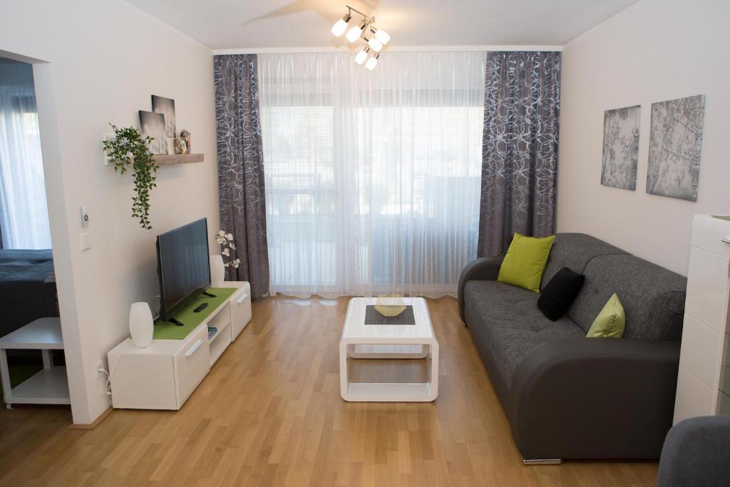 a living room with a couch and a tv at Modern Danube Apartment Vienna in Vienna