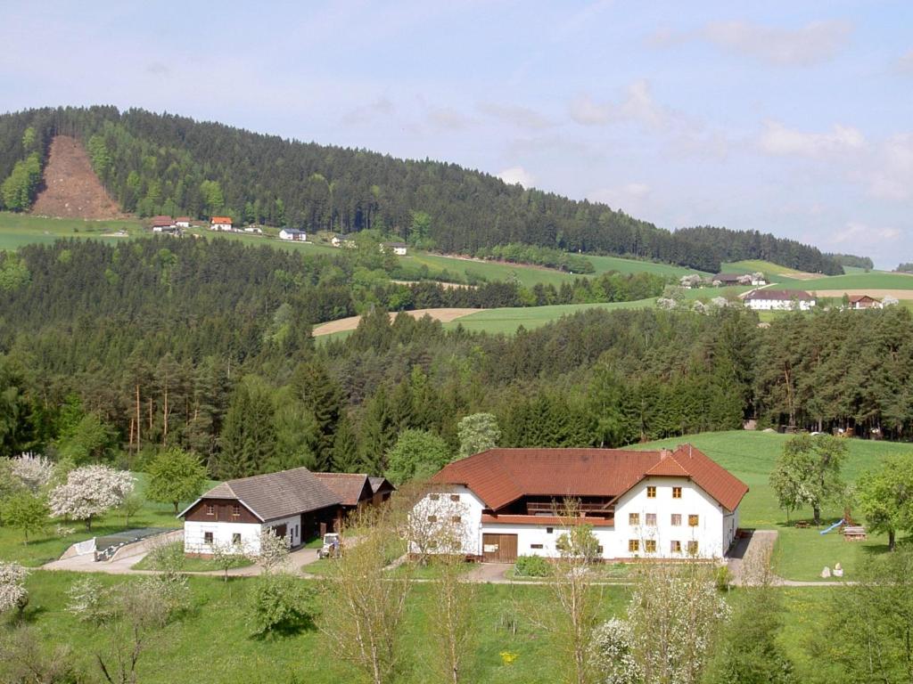 Příroda nedaleko farmy