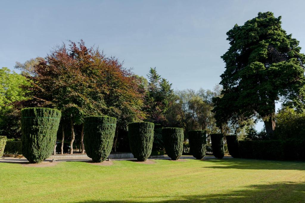 Casa Nova House - Resim 14