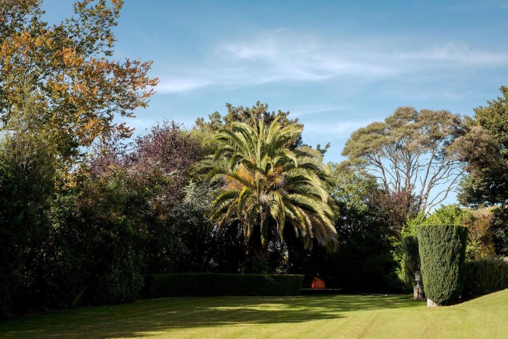 Casa Nova House - Resim 16