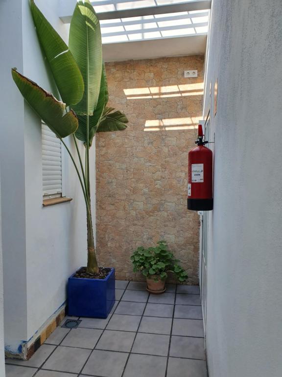 Fotografie z fotogalerie ubytování Apartamento La Chanca v destinaci Conil de la Frontera