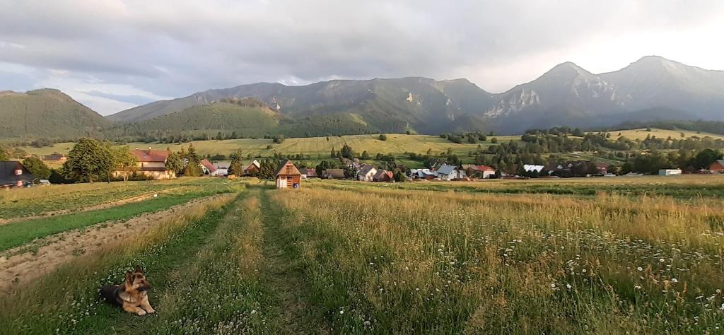 Příroda nedaleko ubytování v soukromí