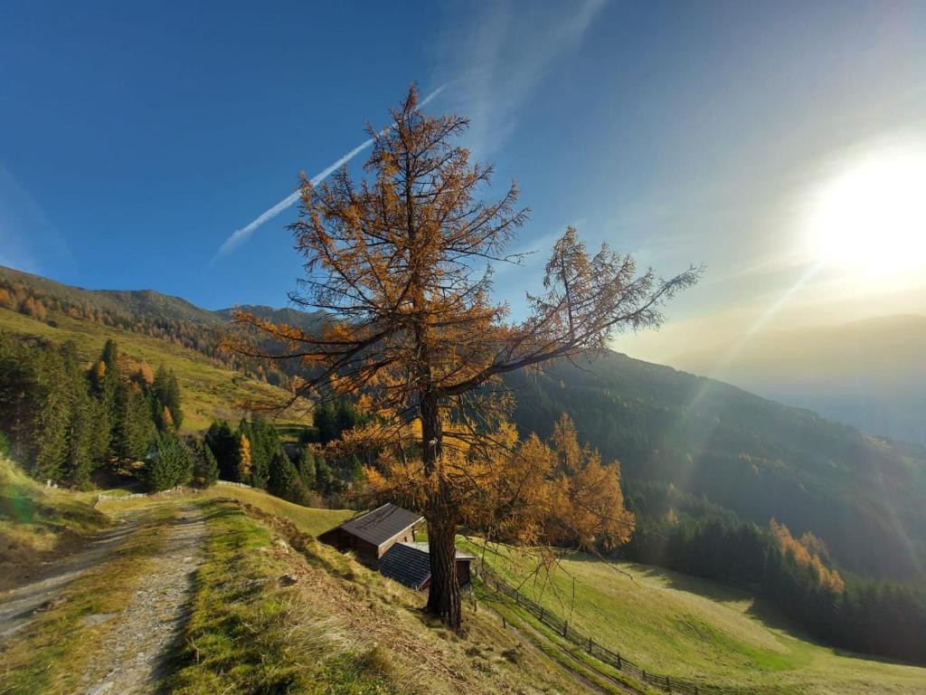 Seven Reasons / Panorama View - 13