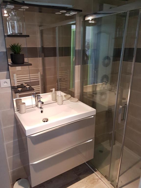 Koupelna v ubytování Appartement agréable et spacieux ensoleillé