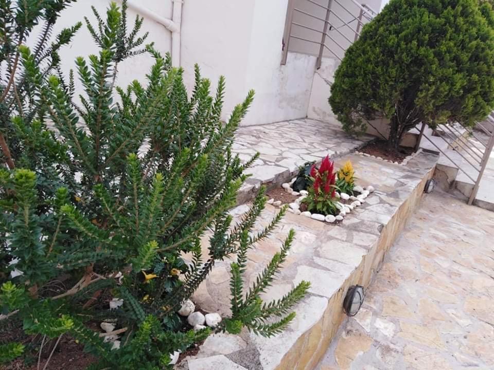 Zahrada ubytování Treasures B&B