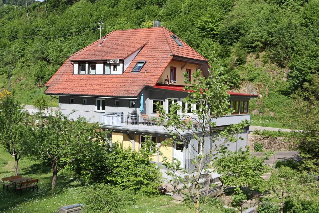 una casa con un tetto rosso su una collina di Haus Belchenwiese a Kleines Wiesental