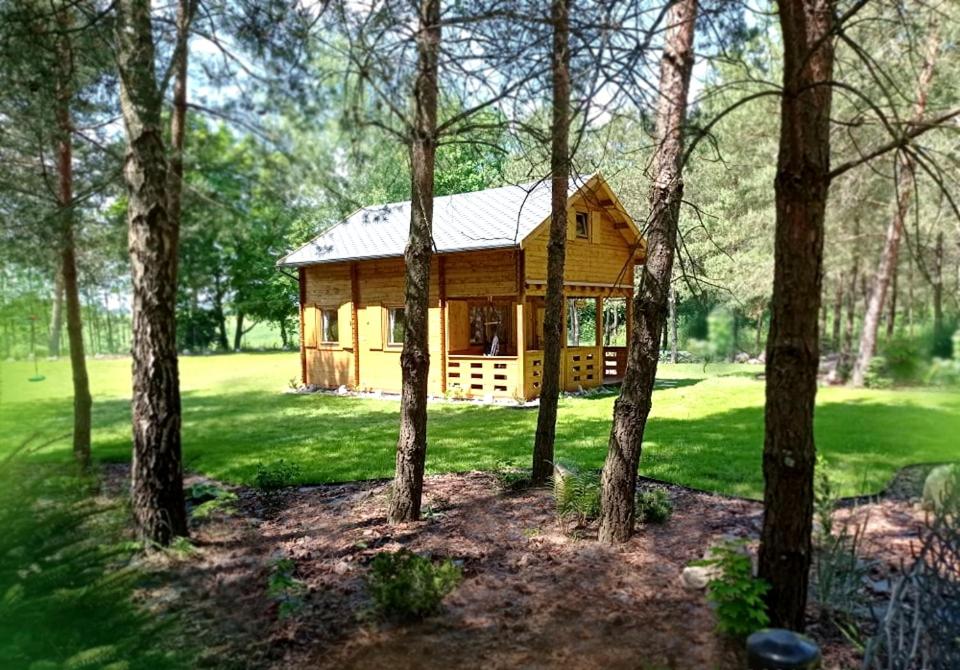 a log cabin in the middle of a forest of trees at Klimatyzowany Domek z Sauną w lesie z posesją na wyłączność Mazury Prażmowo in Prażmowo