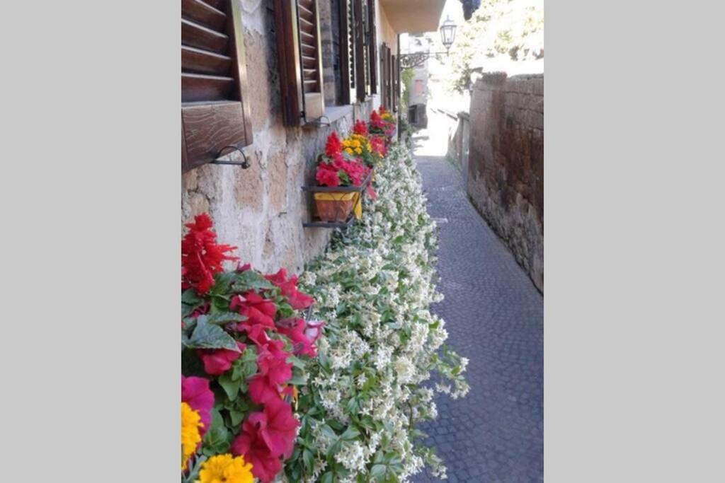 Zdjęcie z galerii obiektu Il gelsomino di Isia w mieście Orvieto