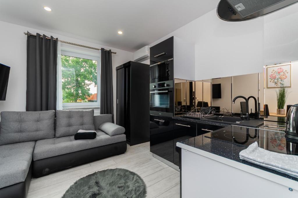 Kuchyň nebo kuchyňský kout v ubytování VIP House Apartamenty