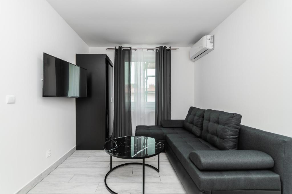 TV a/nebo společenská místnost v ubytování VIP House Apartamenty