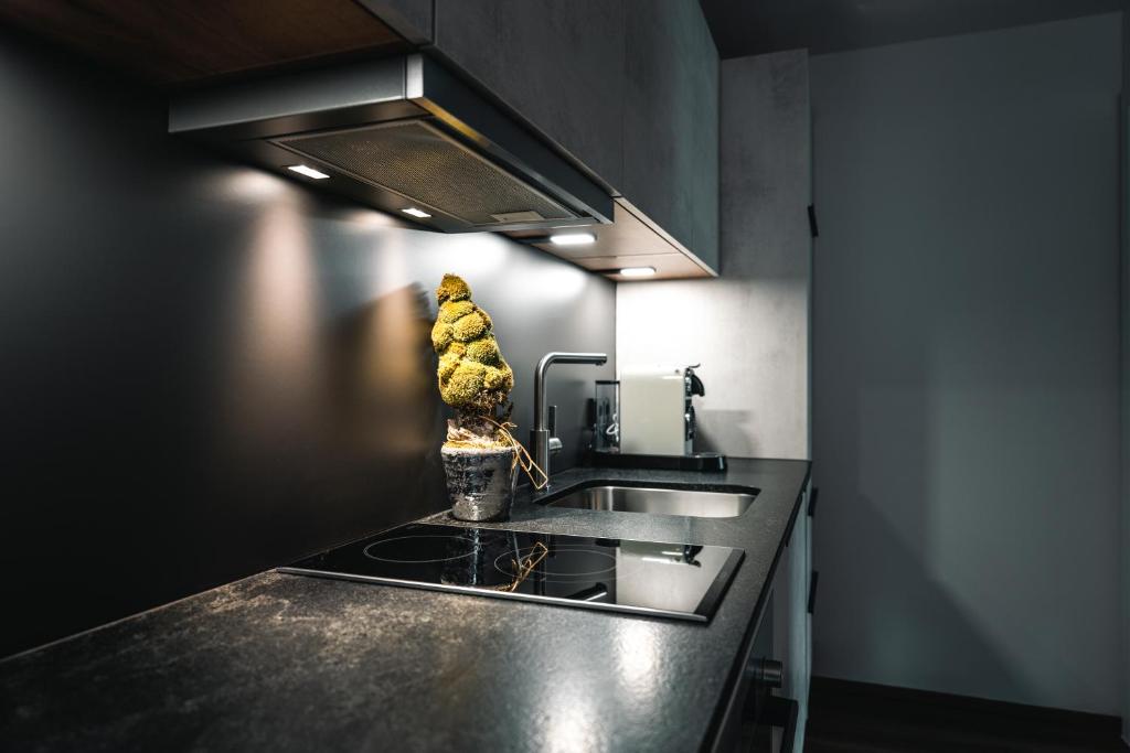 Kuchyň nebo kuchyňský kout v ubytování CHICLIVING Appartements