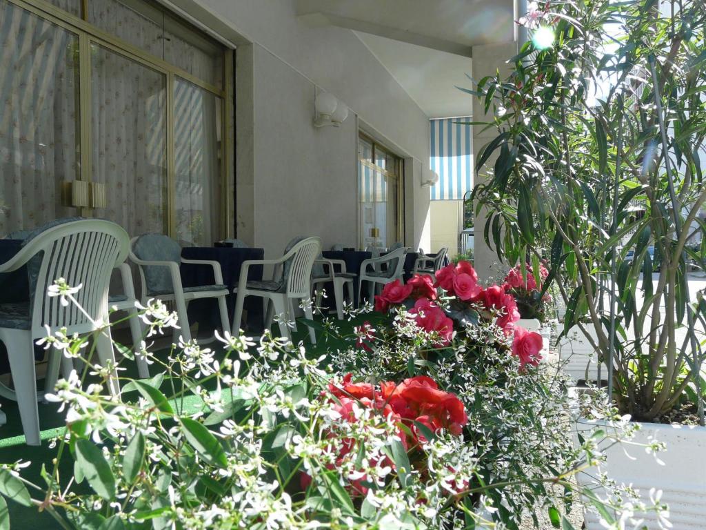 Zahrada ubytování Hotel Altea