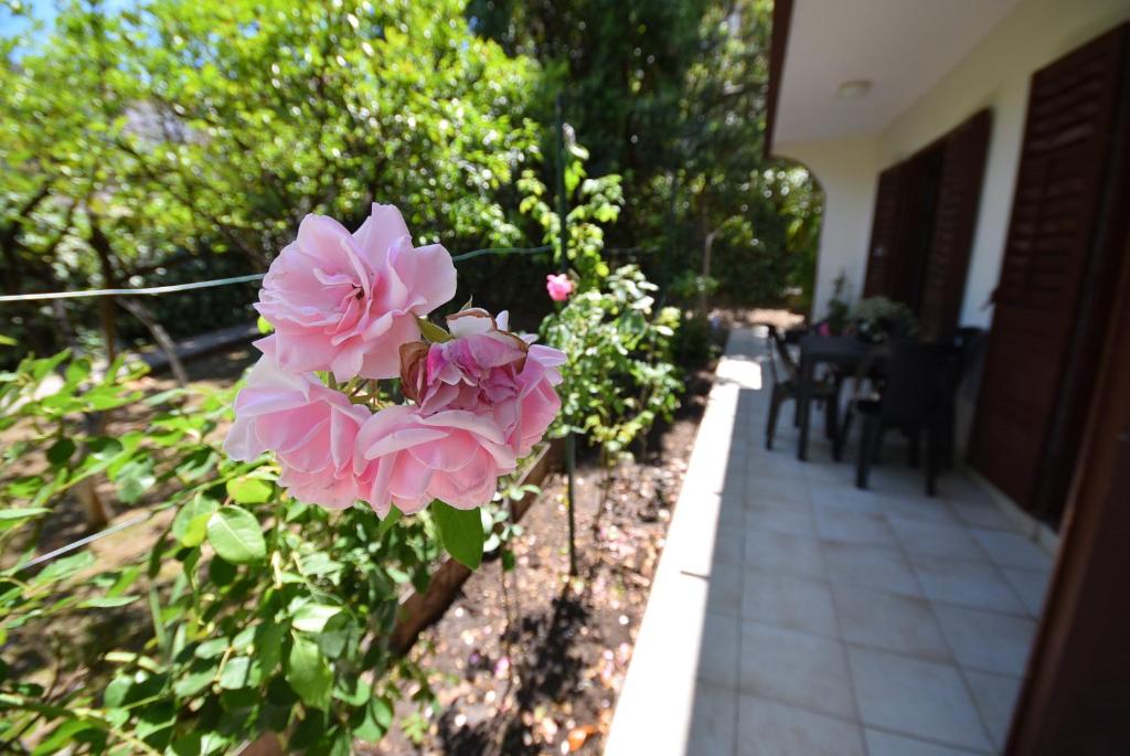 a pink flower on a bush next to a house at Igalo Garden Apartment in Herceg-Novi