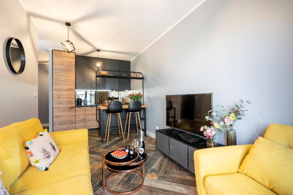 Televízia a/alebo spoločenská miestnosť v ubytovaní Apartament Riverside