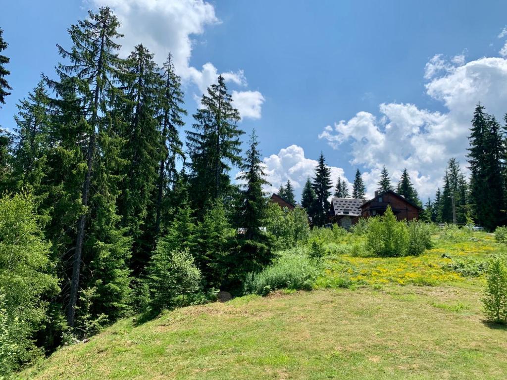 Příroda nedaleko apartmánu