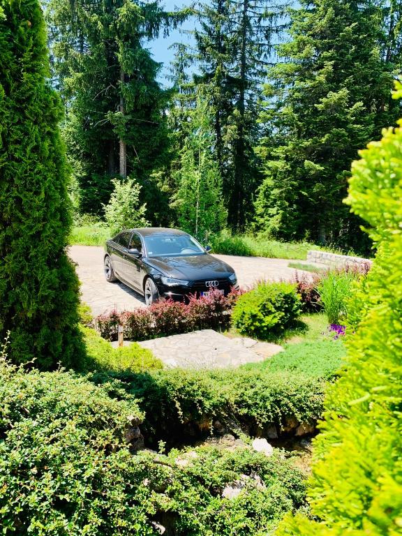 Zahrada ubytování Vila Darija Zlatar - studio apartman br. 4