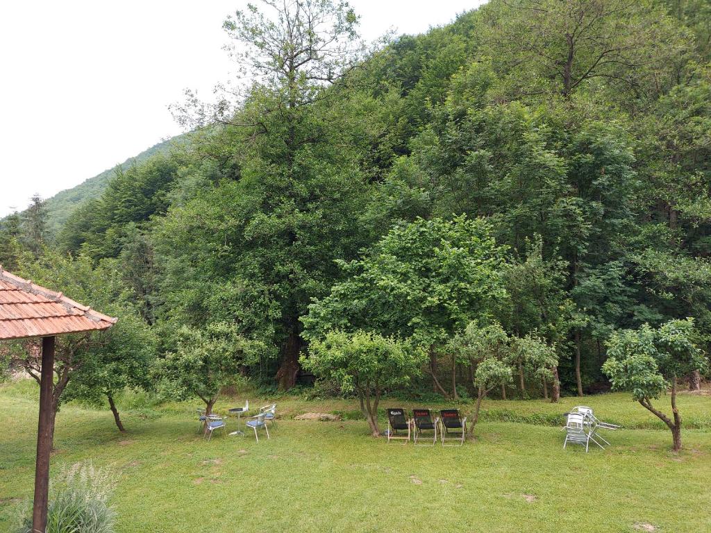 Příroda nedaleko apartmánu
