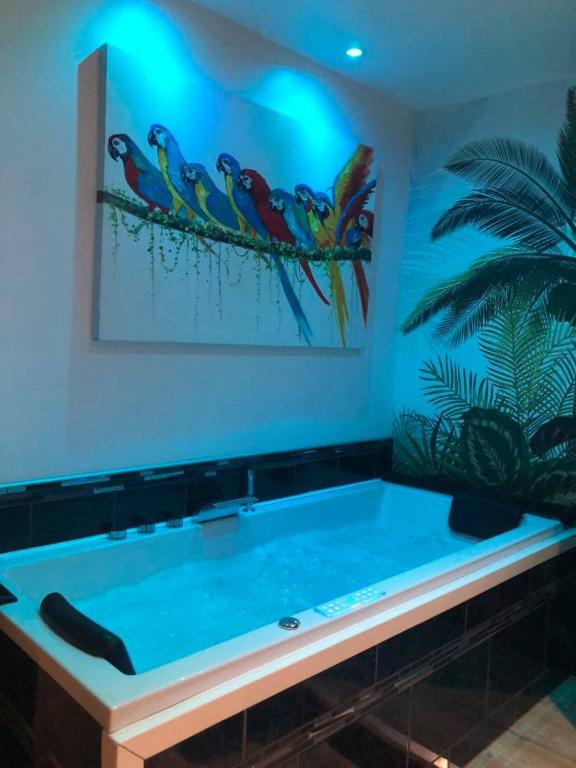 Appartement cosy avec baignoire balnéo - Appartement Met één Slaapkamer