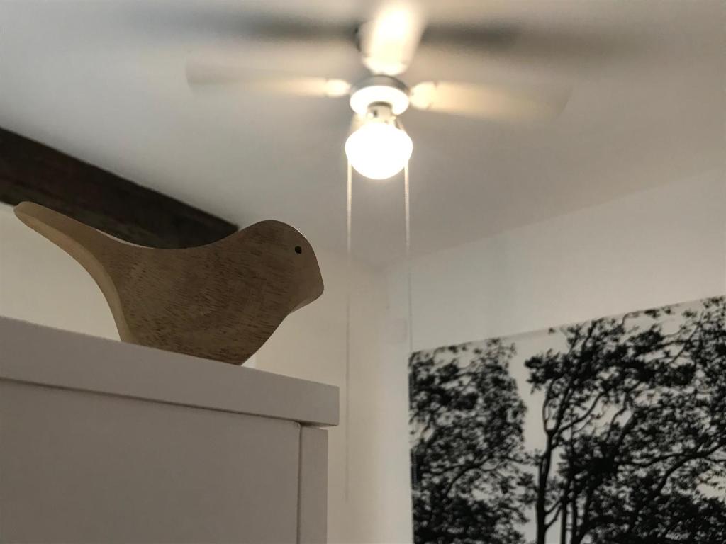 Fotografie z fotogalerie ubytování Appartement Elsa Valencia ve Valencii