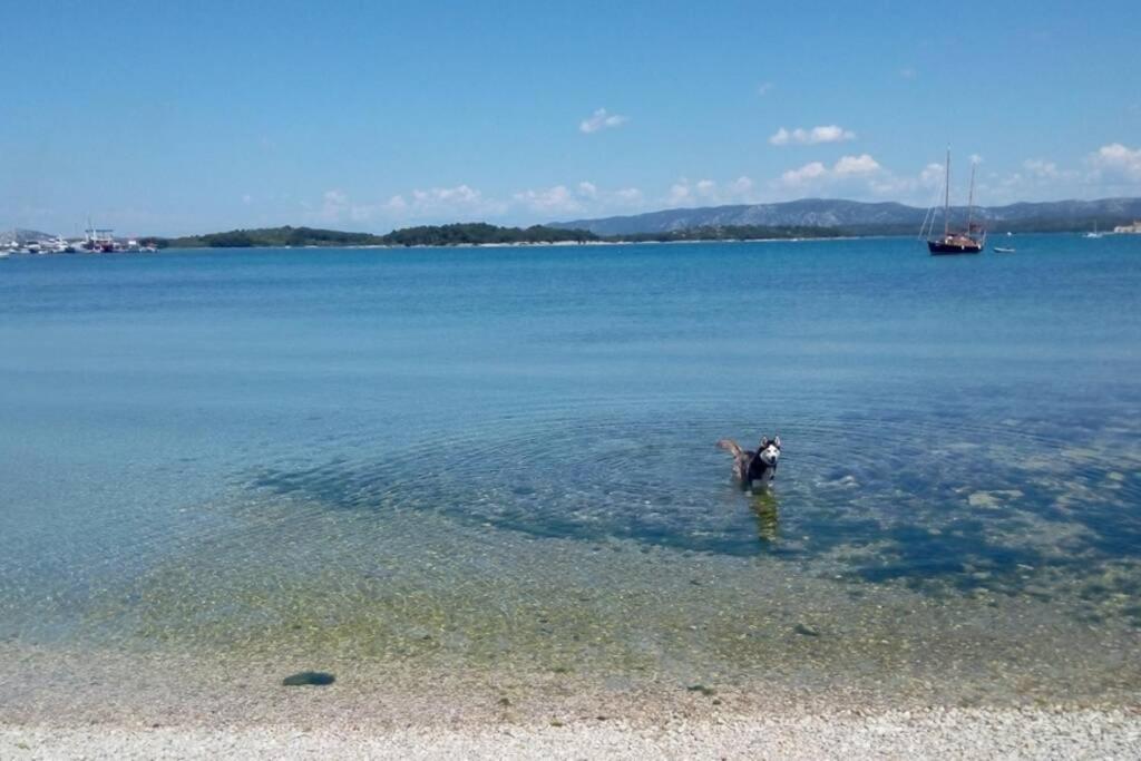 Príroda v okolí vily