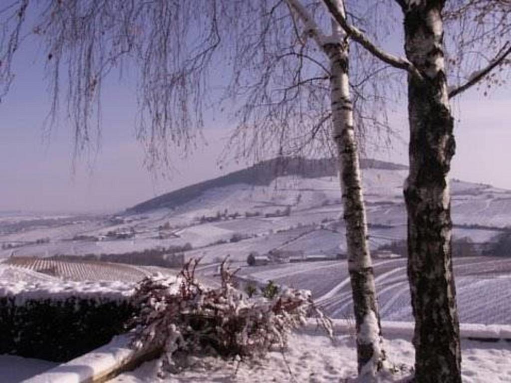 a tree and a hill with snow on the ground at La Croix de Saburin in Quincié-en-Beaujolais