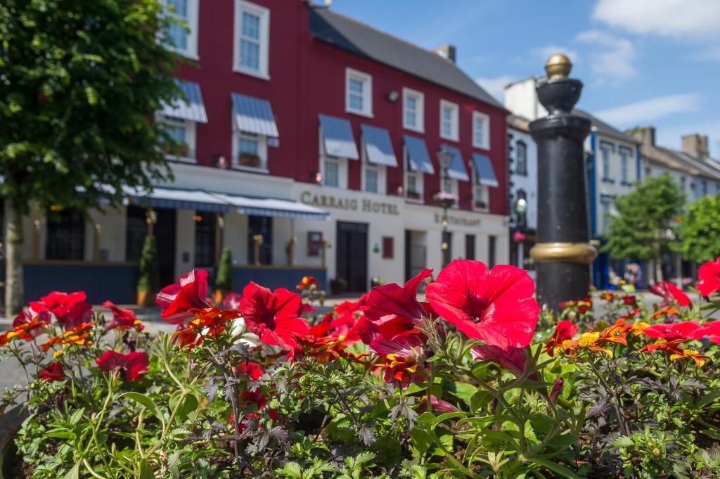 un gruppo di fiori rossi di fronte a un edificio di The Carraig Hotel a Carrick-on-Suir