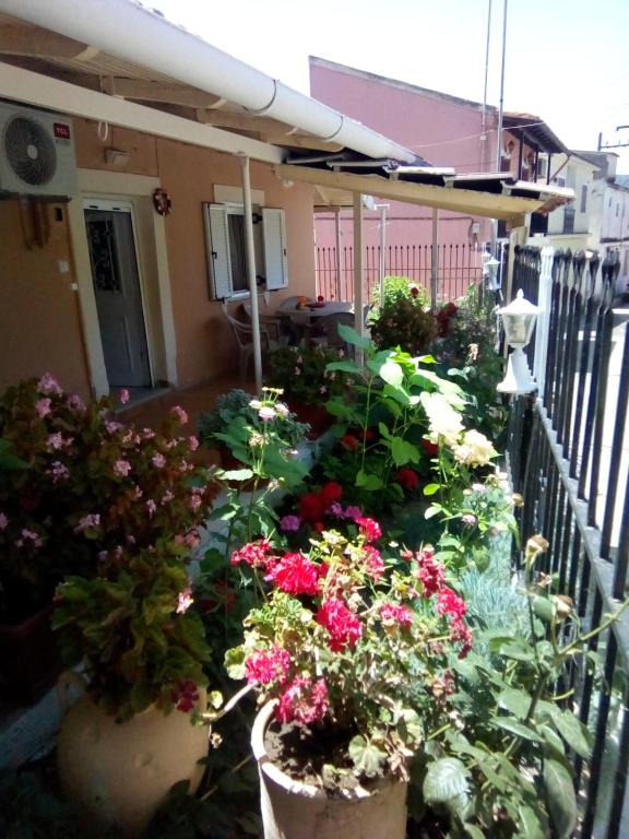 A garden outside Villa Angela, Traditional Villa in the village