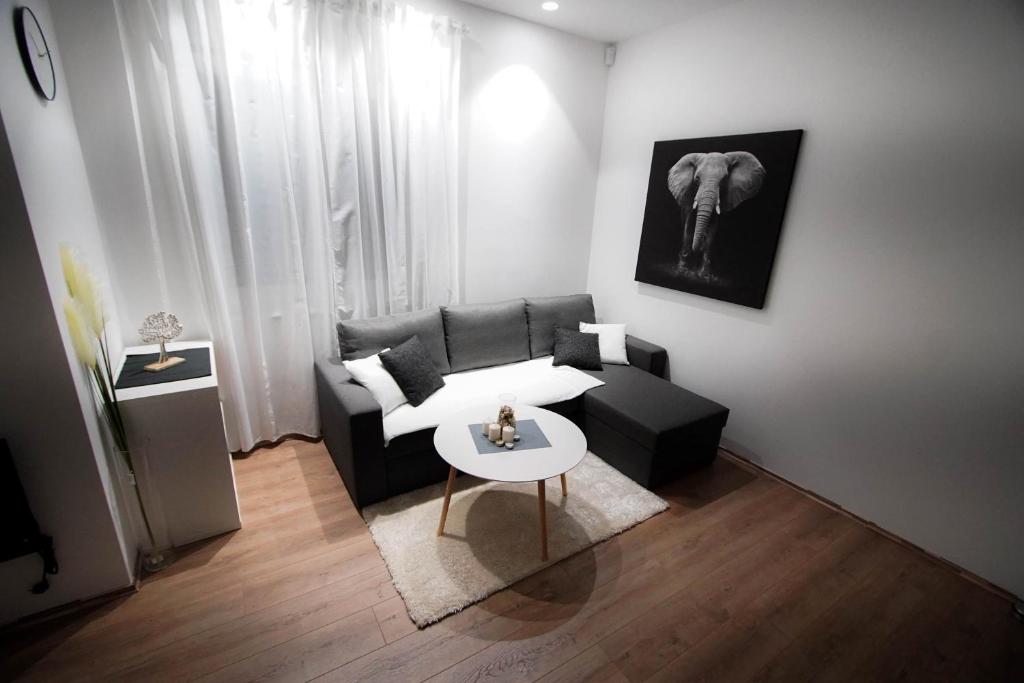 4TREES Airport Apartments and Rooms - 19