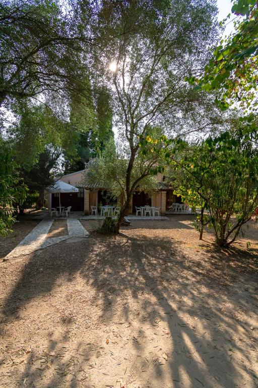 a house with a picnic table and trees in front of it at Villa Olive apartments in Ipsos