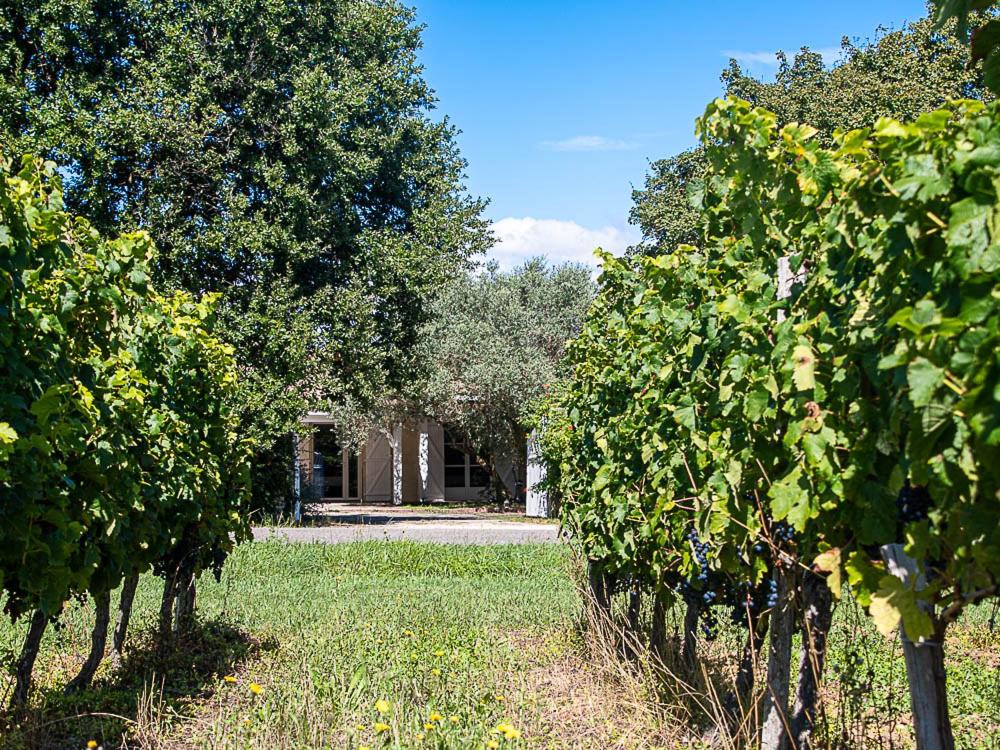 una fila de árboles delante de una casa en Au détour des vignes en Ordonnac