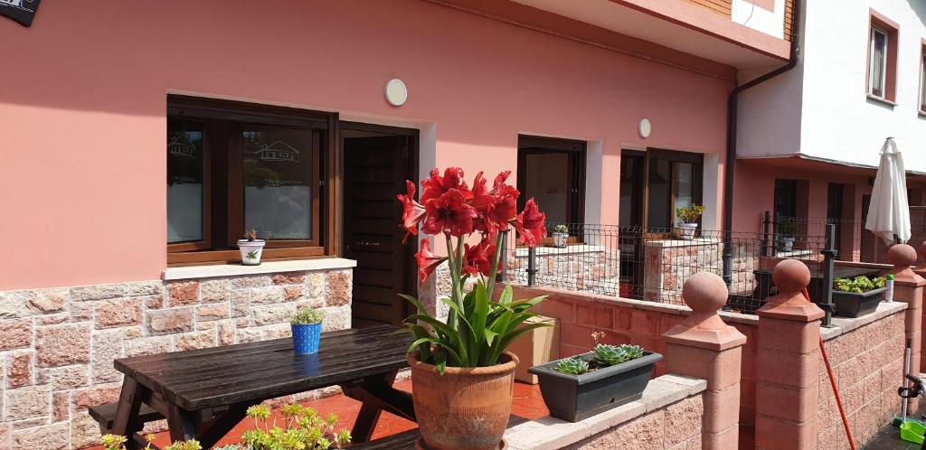 Budova, kde se apartmán nachází