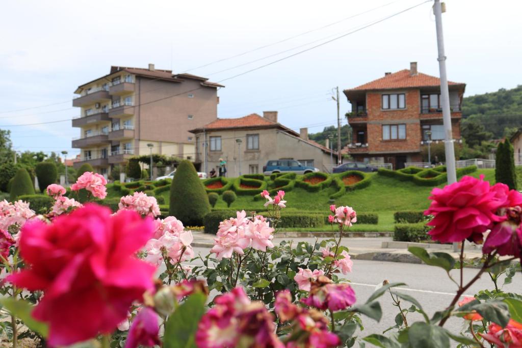 Zahrada ubytování Complex FREYA S - All Inclusive Light