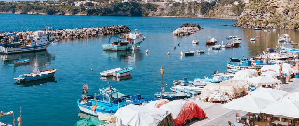 a group of boats docked in a body of water at Residence dei Pescatori in Procida