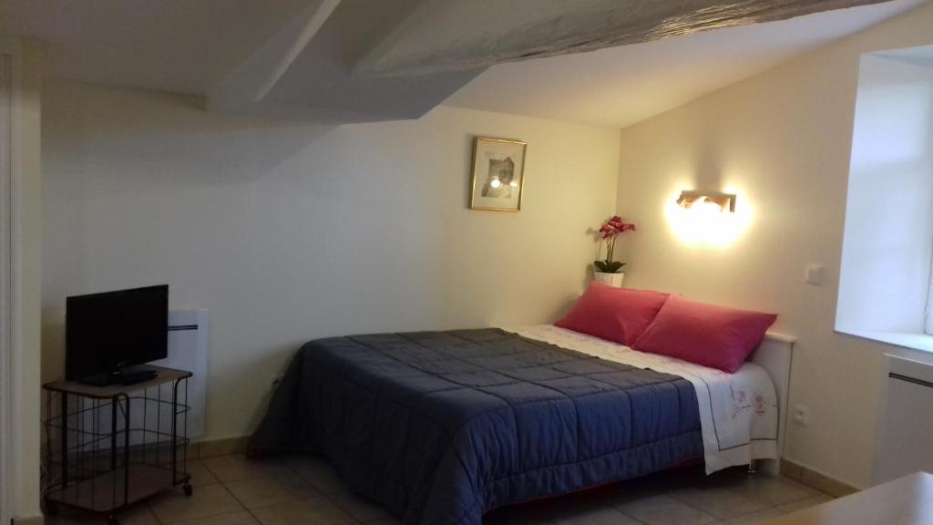 a bedroom with a bed with red pillows and a television at Le Petit Séguret in Le Puy en Velay
