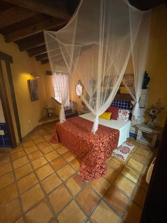Posada Los Cantaros في بيزارا: غرفة نوم بسرير مع مظلة