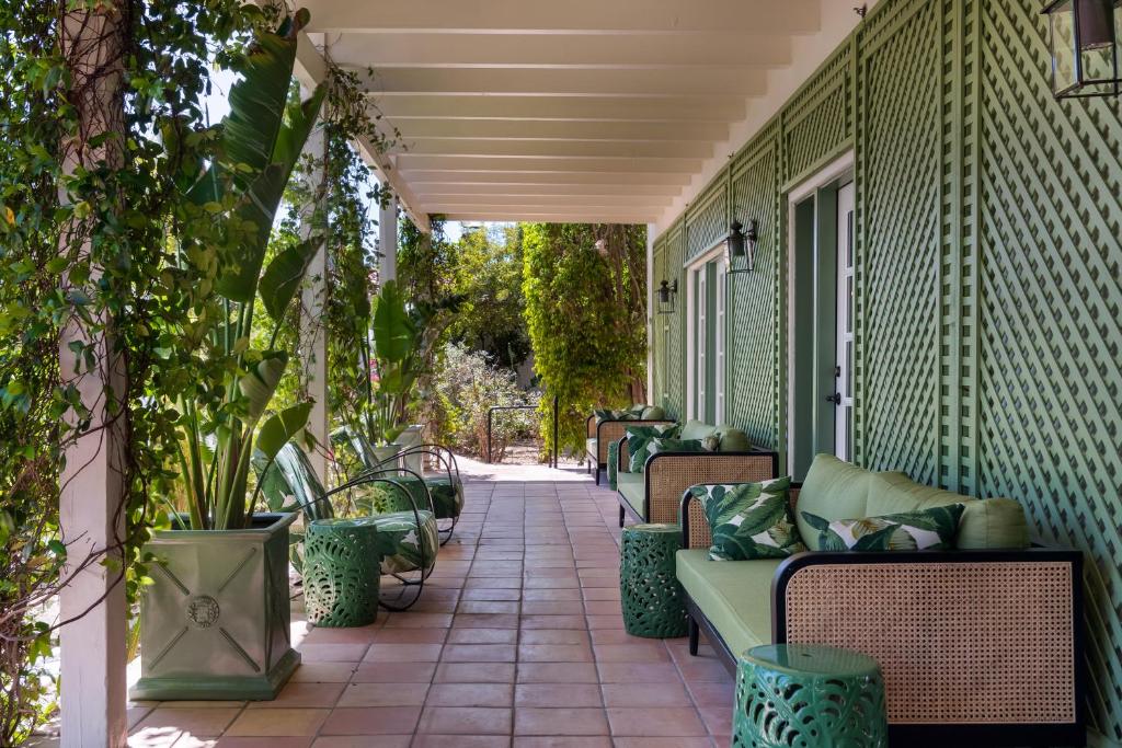 Zahrada ubytování The Colony Palms Hotel and Bungalows - Adults Only
