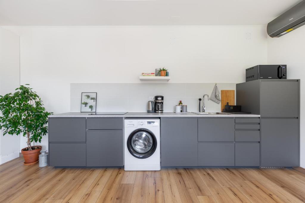 Kuchyň nebo kuchyňský kout v ubytování Kalia Apartmanok