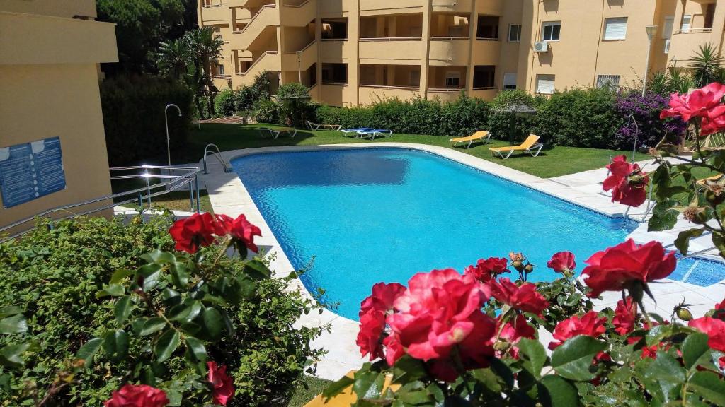 Cabopino的住宿－Amplio 2 dormitorios, gran terraza, 150 metros playa La Luna, Mijas，一座在大楼前方的游泳池,里面装有红色的鲜花