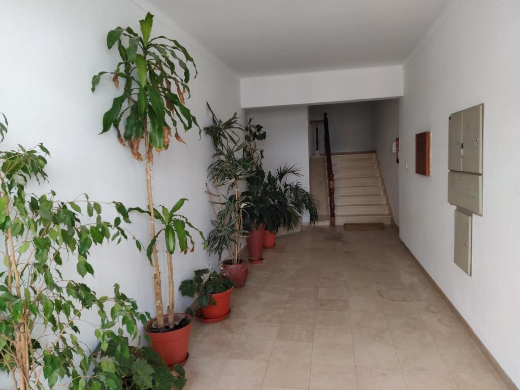 Apartamentos Bau-Doce