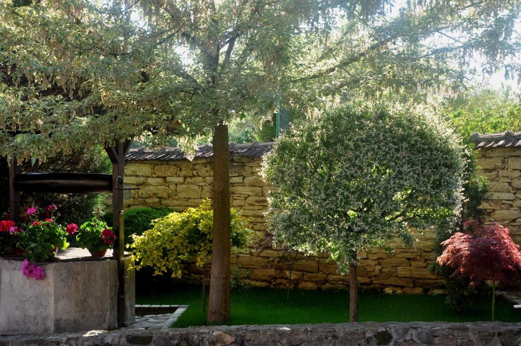 Fotografie z fotogalerie ubytování Guesthouse Djurić v destinaci Negotin
