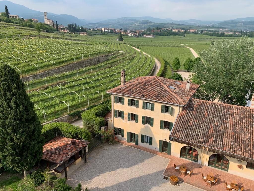 an aerial view of a house and a vineyard at Domus Cariana in San Pietro in Cariano