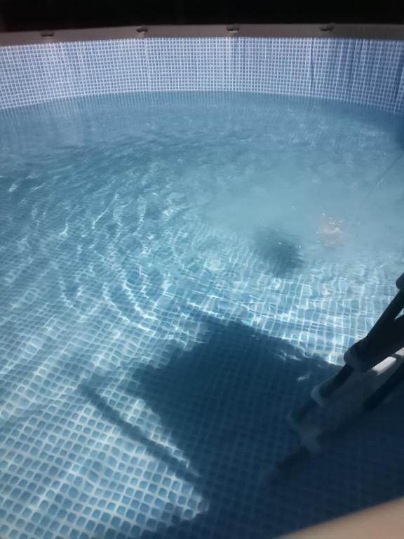 Bazén v ubytování Borsko jezero nebo v jeho okolí