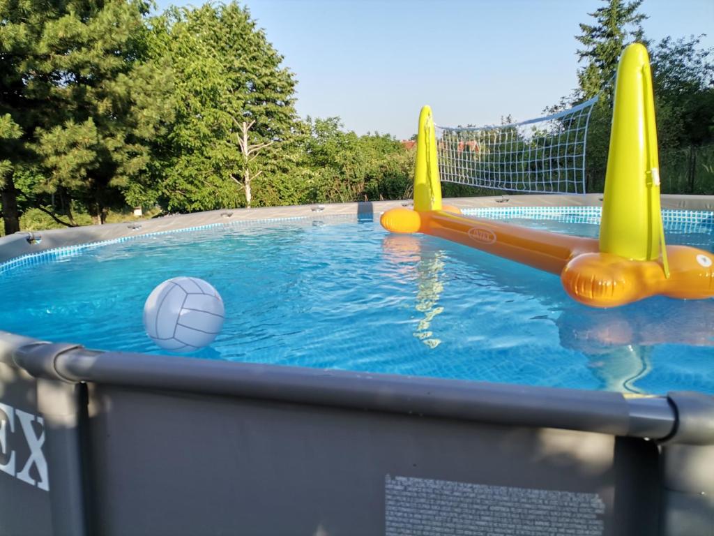 Bazén v ubytování Borsko jezero nebo v jeho okolí