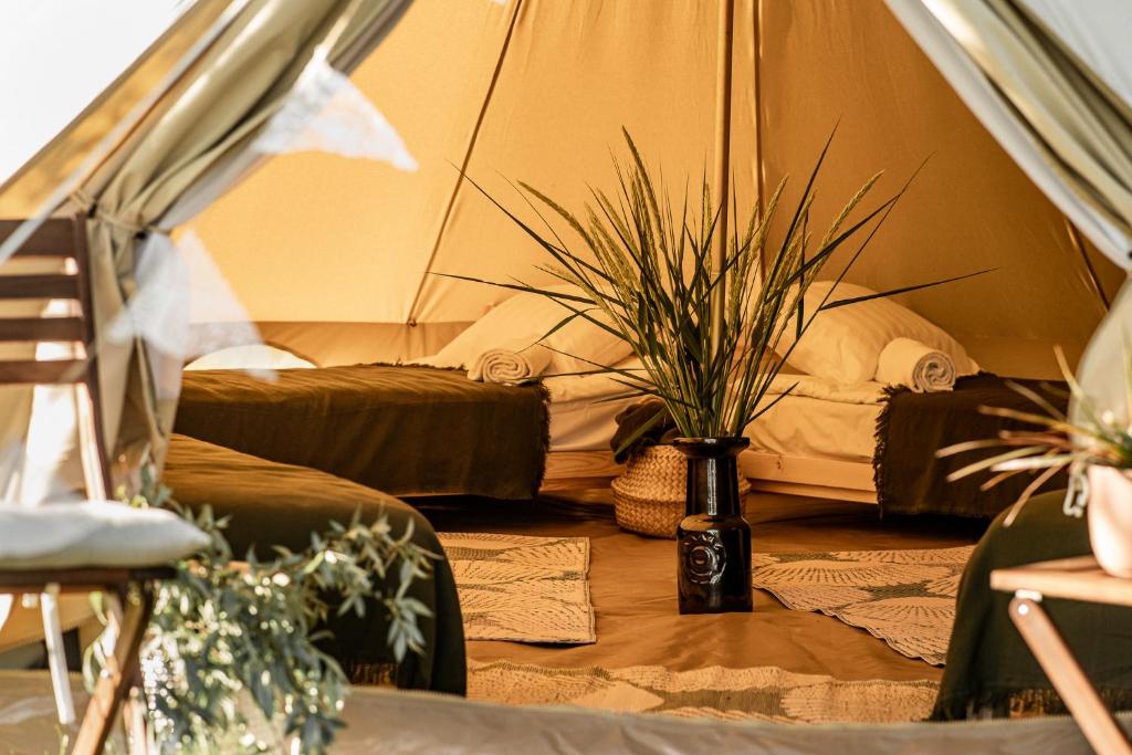 Posezení v ubytování WPark Glamping