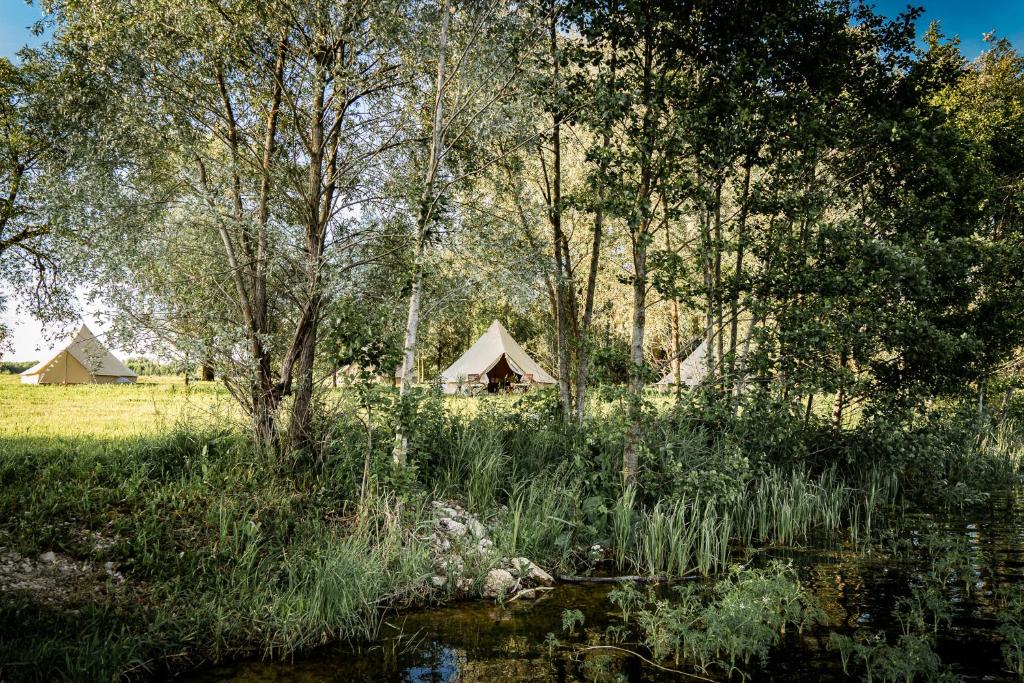 Příroda nedaleko luxury tent